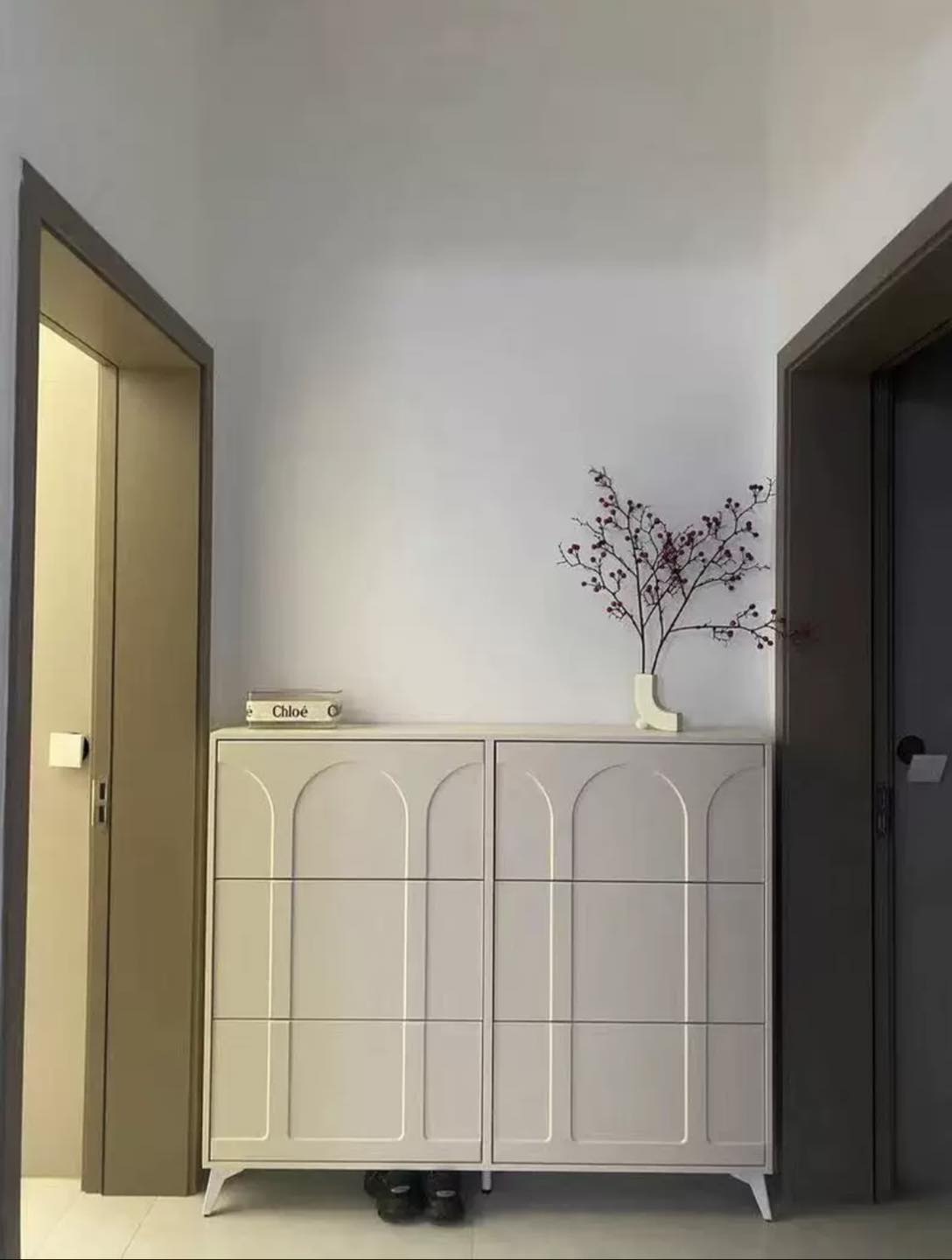 Шинэ загварын гутлын шүүгээ