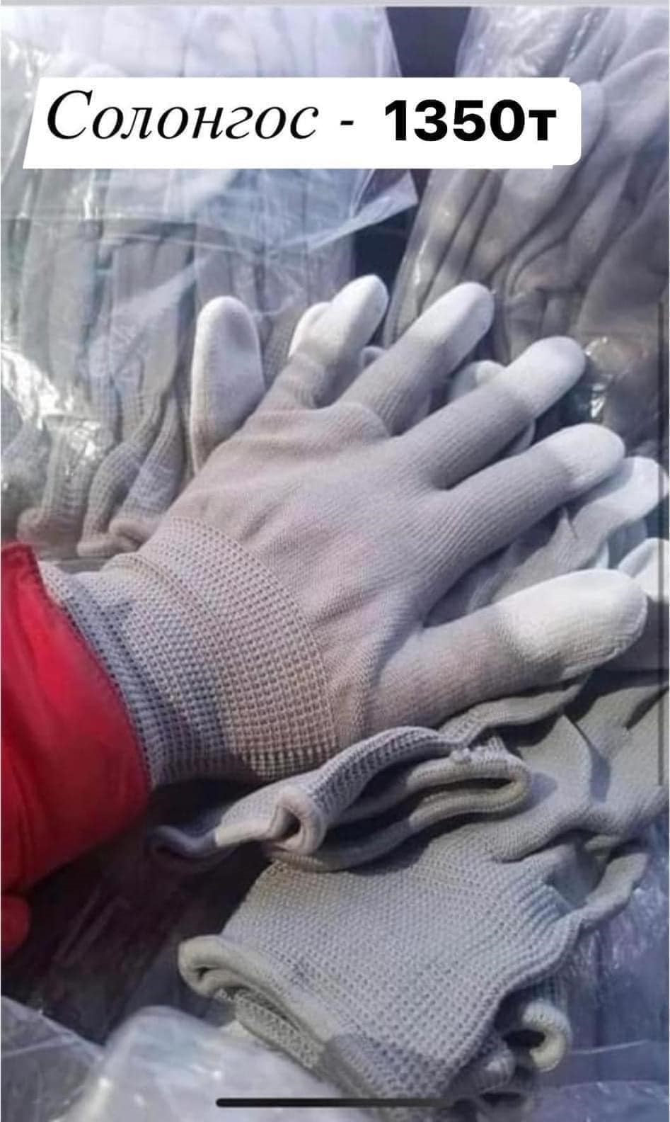 Солонгос бээлий