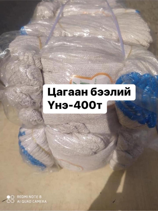 Цагаан бээлий